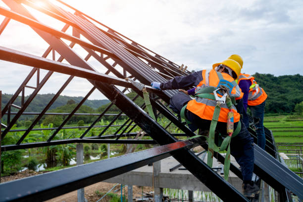 Best Roof Gutter Cleaning  in Ripon, WI