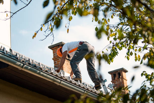 Best Metal Roofing Contractor  in Ripon, WI