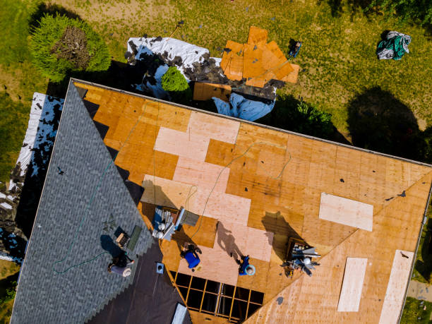Best Local Roofing Companies  in Ripon, WI